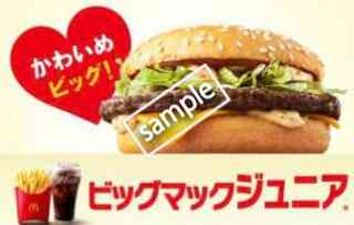 ビッグマックジュニア+ポテトM+ドリンクM