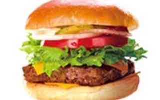 ウェンディーズバーガーUSA単品