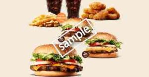 ワッパーチーズ+クアトロチーズワッパーJr+テリヤキワッパーJr+ポテトL+チキンナゲット8ピース+ドリンクM2個