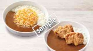 各種スパイシーカレー